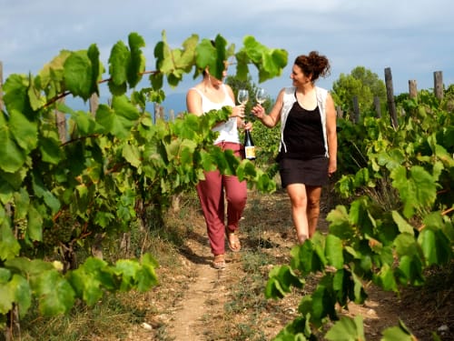 Celler Albet i Noya