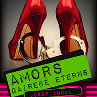 Xerrada sobre el llibre 'Amors gairebé eterns'