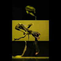Exposició 'Animated Painting'