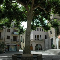 Arbúcies