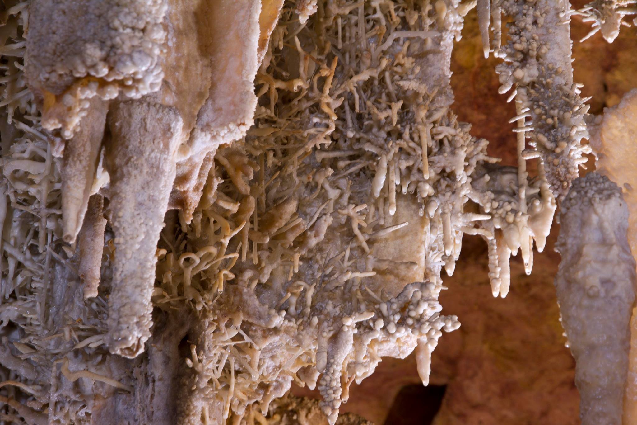 Les Coves Meravelles de Benifallet