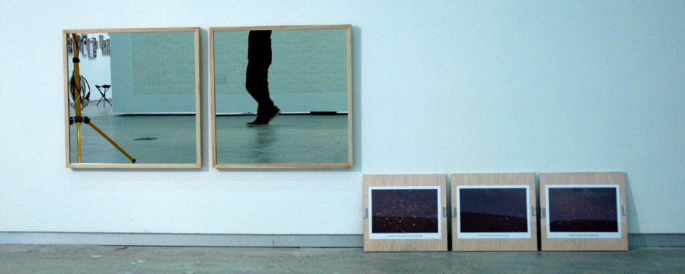 BIAM 2014