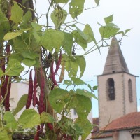 la cellera de ter la cellera de ter