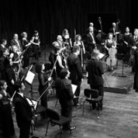 concert_orquestra_cambra_catalana
