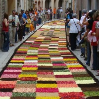  Concurs de Catifes de flors naturals 