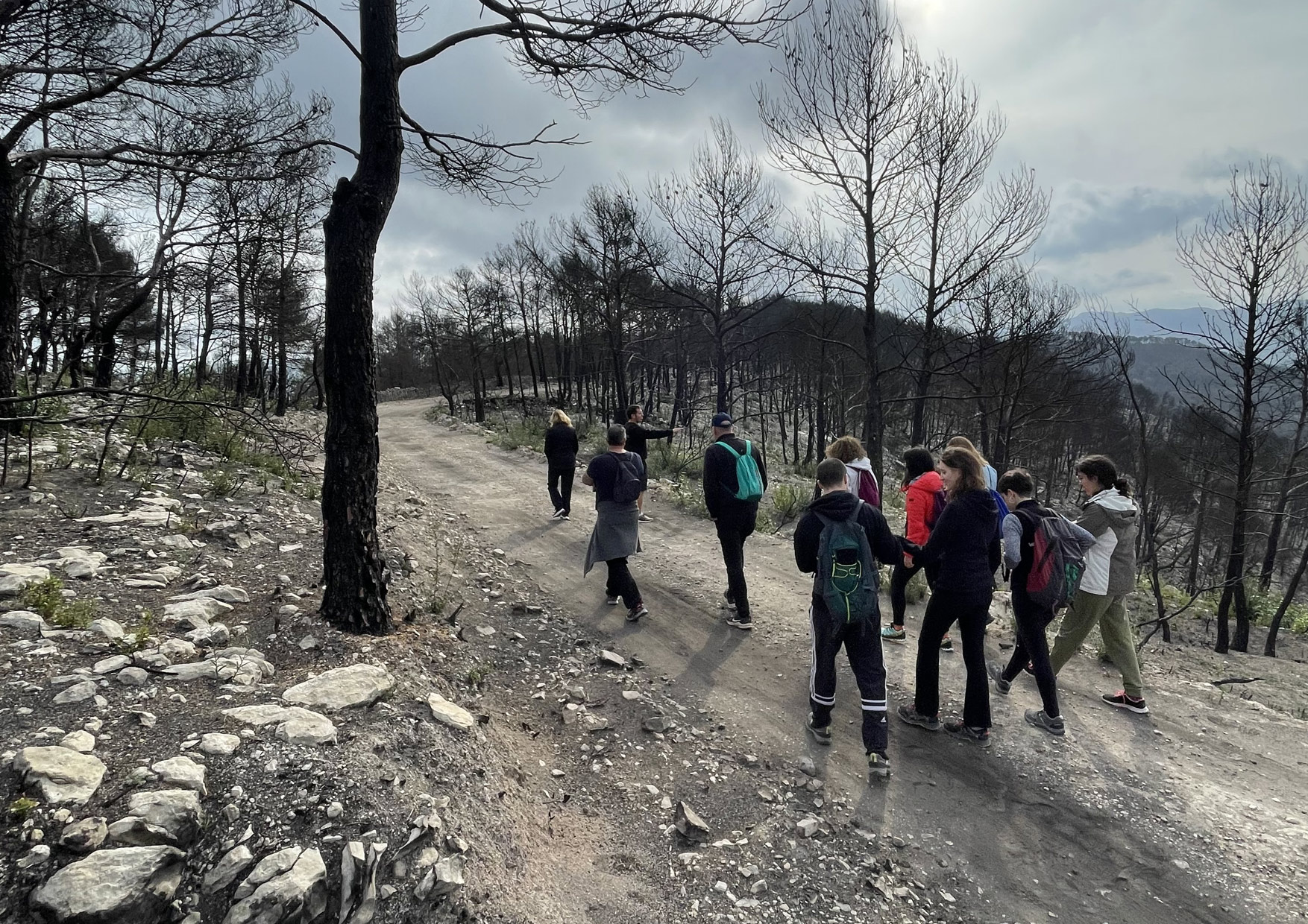 Ruta 'Europa mira els Cucucs', Marcats pel 38