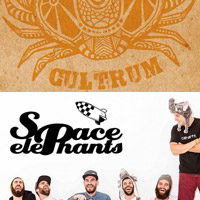 Cultrum + Space Elephants