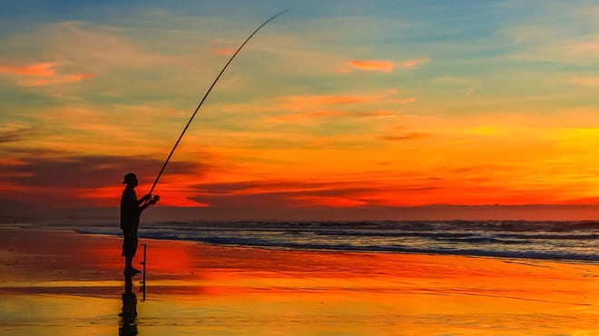 De pesca al Delta