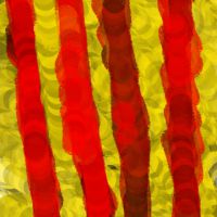 Actes de la Diada a Vidreres