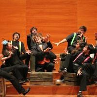 El carnaval dels animals, LleidArt Ensemble