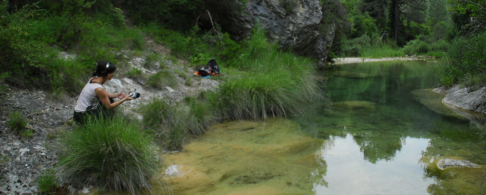 Estrets d'Arnes