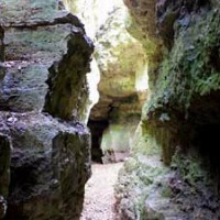 L'enigma del bosc de les goges. Joc de pistes a les Estunes de Porqueres