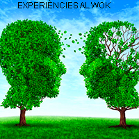Experiències al wok