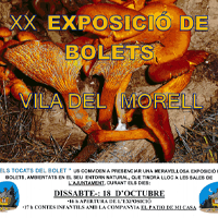 XX Exposició de Bolets Vila del Morell XX Exposició de Bolets Vila del Morell