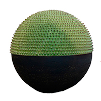 Terracota Terracota