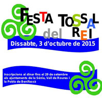 Festa del Tossal del Rei - La Sénia 2015