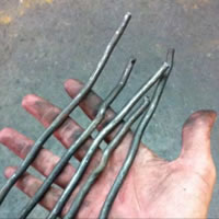 focs distopics focs distopics