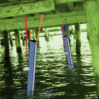 Estructura sonora 'Glissandi tubulars onejants'