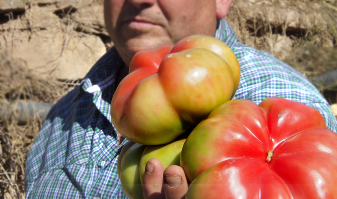 Tomàquets del Molí del Mig, Mura