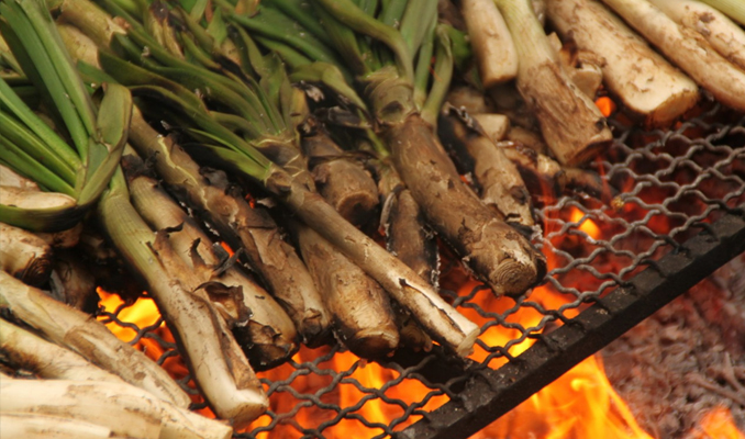 Calçotades