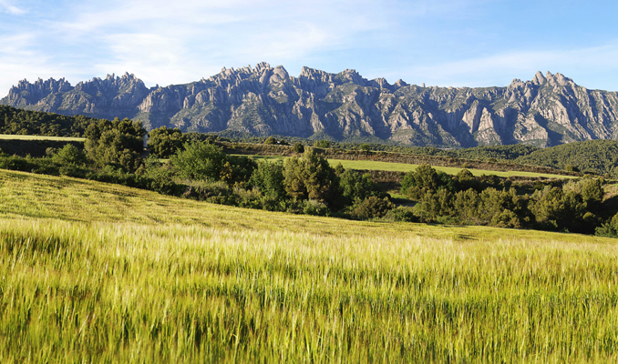 Descobreix com eren els voltants de Montserrat fa 12 milions d'anys
