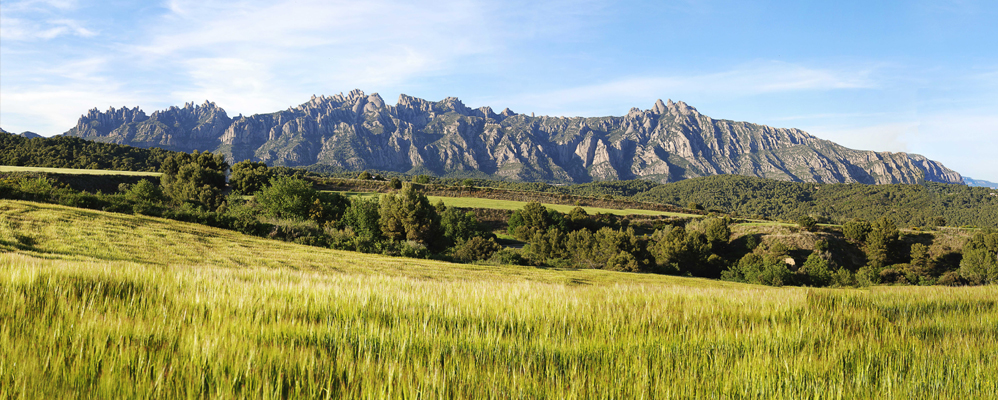 Descobreix com eren els voltants de Montserrat fa 12 milions d'anys