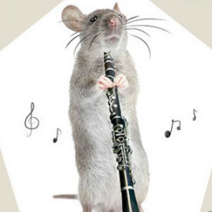 XXI Cicle Diumenges a Tot Ritme XXI Cicle Diumenges a Tot Ritme
