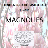 Magnòlies