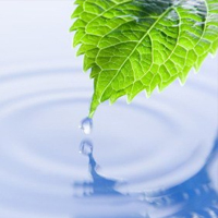 Mindfulness, viure amb plena consciència. Mindfulness, viure amb plena consciència.