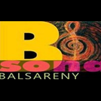 Cicle Sona B: actuació de Palance Cicle Sona B: actuació de Palance