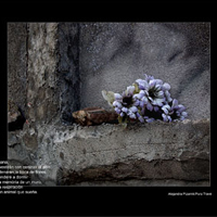 Exposició 'Foto.text - Text.foto'