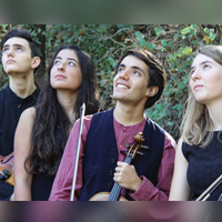 Concert Quartet Boccherini, amb peces de Schuman i Beethoven Concert Quartet Boccherini, amb peces de Schuman i Beethoven