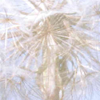 Trobada de Caramellaires