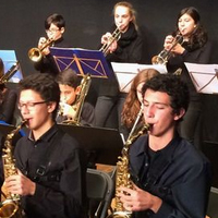Concert 'Small Miller Band'