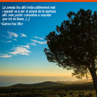 'Lletres i paisatges', Poesia als Parcs