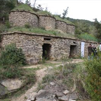 Visita guiada 'Tines a peu de vinya'