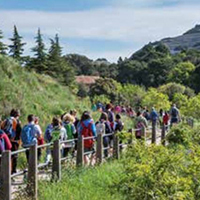 Visita guiada 'El Molí del Mig'º