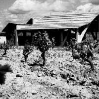 Exposició 'Sant Fruitós de Bages pagès: la vida al camp'