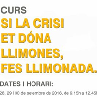 Curs 'Si la crisi et dóna llimona, fes llimonada' Curs 'Si la crisi et dóna llimona, fes llimonada'