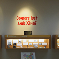 Visites al Museu de Geologia Valentí Masachs