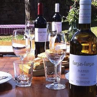 Visita amb tast al celler Fargas-Fargas