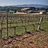 Visita amb tast al celler el Molí de Collbaix