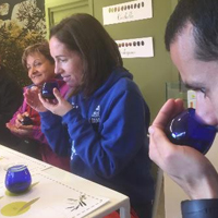 Les oliveres d'ara i d'abans, una pràctica d'oleoturisme al Bages