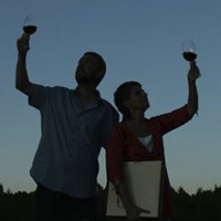Vi, glosa i estrelles