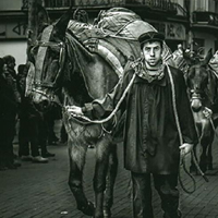 Cavalcada dels Traginers | Festa dels Traginers de Balsareny 2017