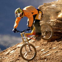 Baixada 'Pi de les tres branques en BTT'