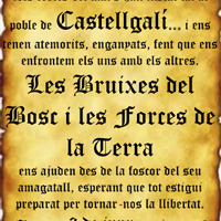 Correfoc dels Galls del Diable Correfoc dels Galls del Diable