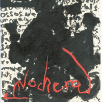 Presentació del projecte 'Nochera'