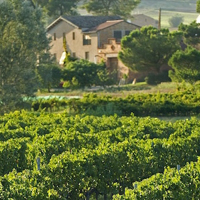 Celler Fatgas-Fargas Celler Fatgas-Fargas