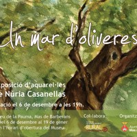 Exposició 'Un mar d'oliveres', de Núria Casanellas